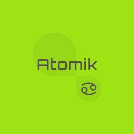 Atomik Consulting Services